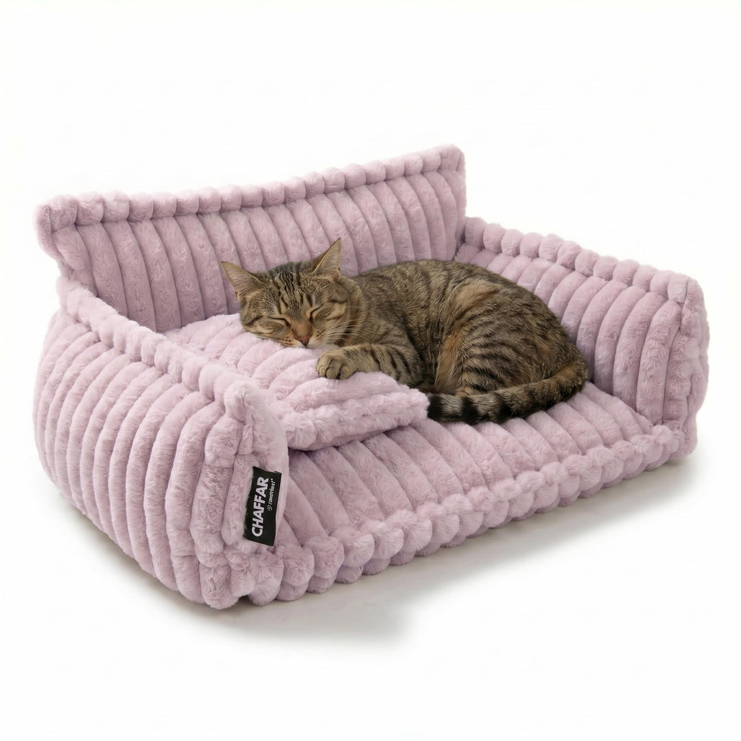 noviclass® Katzensofa Chaffar | Katzenbett Hundebett Hundesofa | Orthopädische Matratze | Moderner S