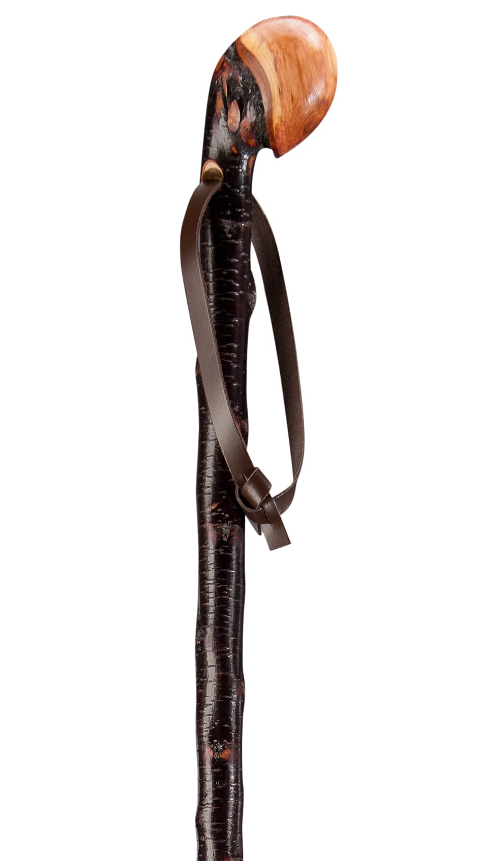 Gehstock Wanderstock Schwarzdorn-Wurzelstock rindenecht mit Lederschlaufe 105 cm (1er Pack), 105 cm