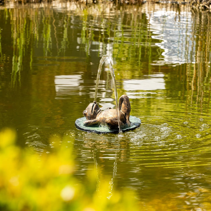 Esotec Solar Wasserspeier Komplettset, Frosch auf Seerosenblatt, Gartenteich Wasserspiel, Vogeltränk