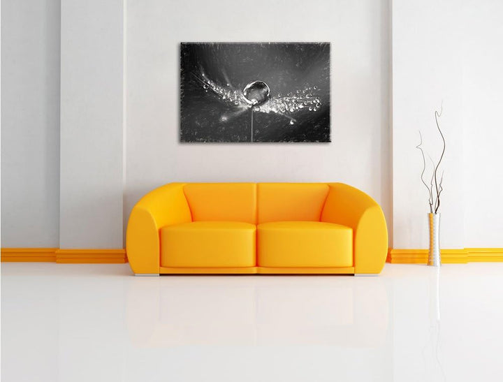 Pixxprint Wassertropfen auf Einer Pusteblume als Leinwandbild/Grösse: 100x70 / Wandbild/Kunstdruck/f