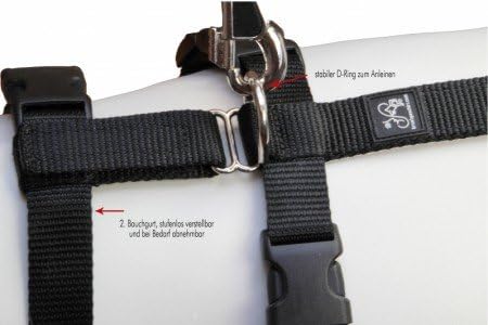 Original Feltmann No Exit, 20mm, 50-65cm, schwarz 50-65cm / 10-16kg Schwarz, 50-65cm / 10-16kg Schwa
