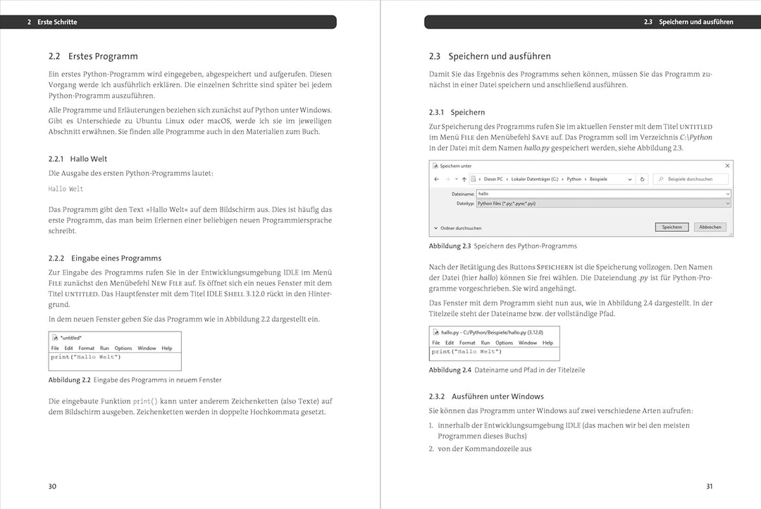 Einstieg in Python: Die Einführung in Python 3. Das ideale Buch für Programmieranfänger. Inkl. Objek