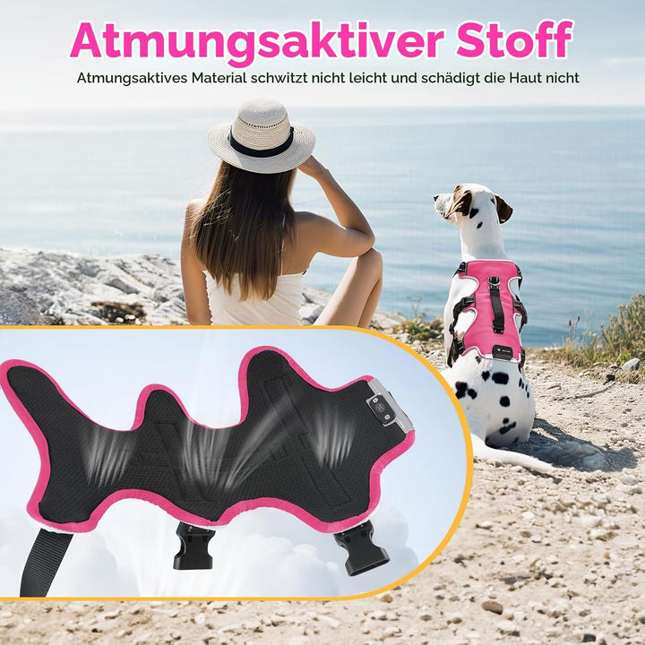 Jewyow Hundegeschirr Leuchtend, Wiederaufladbare LED Hundegeschirr, Led Geschirr für Hunde mit Weich