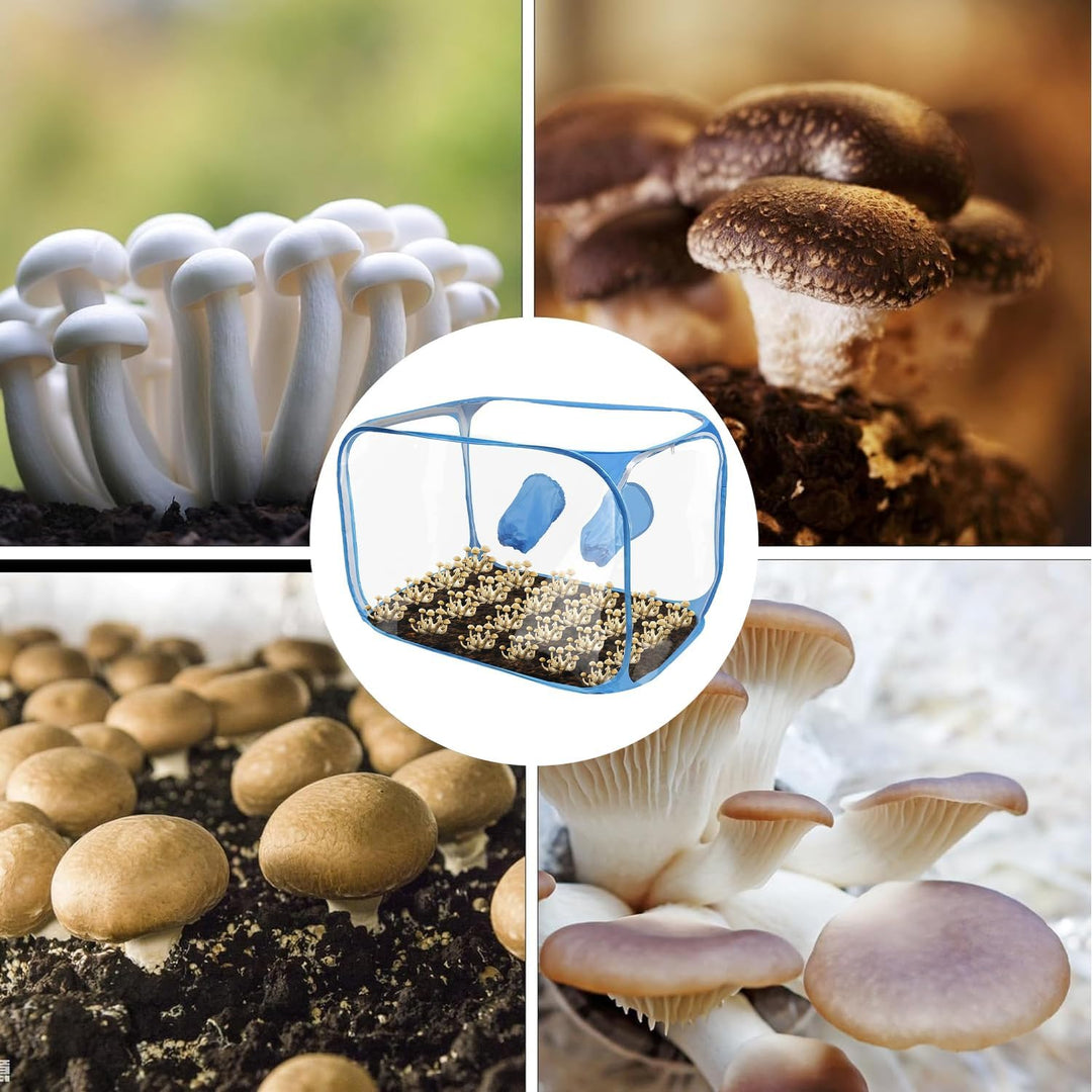 Pilzzucht Zelt, Tragbarer und Klappbarer Mushroom Grow Kit, Still Air Box mit Rutschfesten Handschuh
