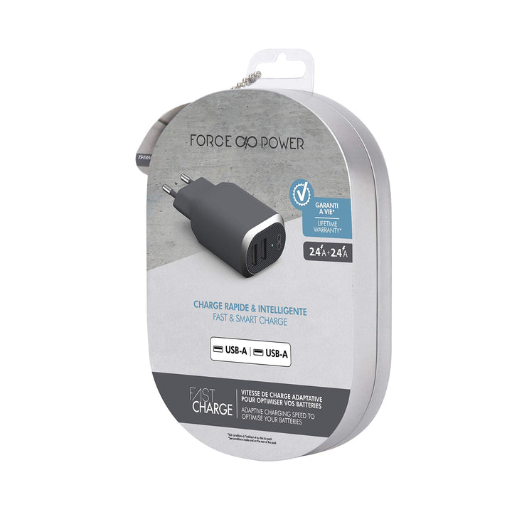 Force Power Bigben Connected Netzladegerät mit 2 USB-Ports, 4,8 A