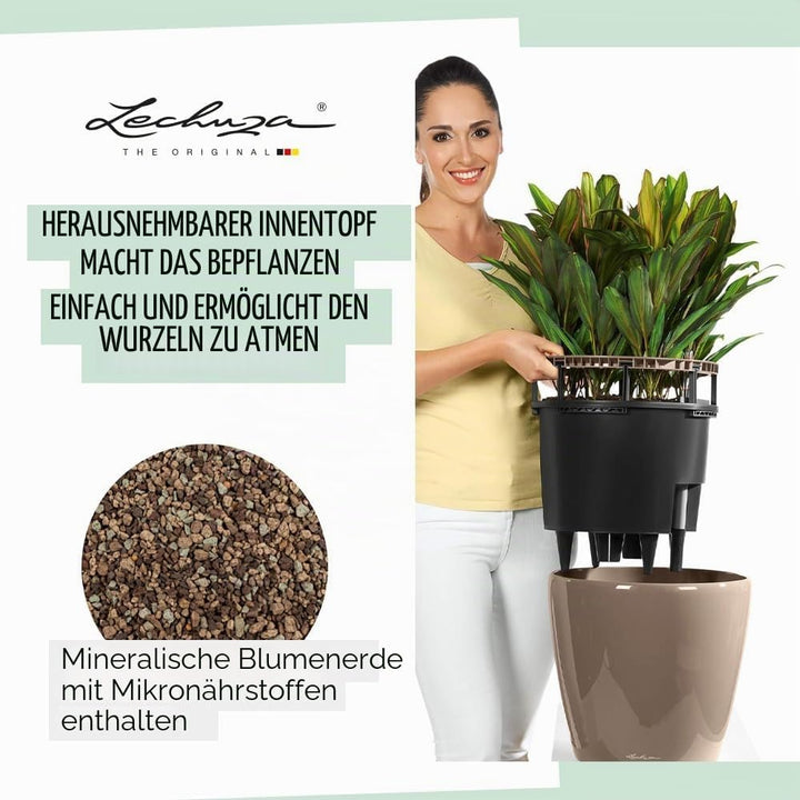 LECHUZA CLASSICO Premium LS 28 anthrazit metallic 16043 28.5x28.5x26 cm Anthrazit Metallic Einzel, 2
