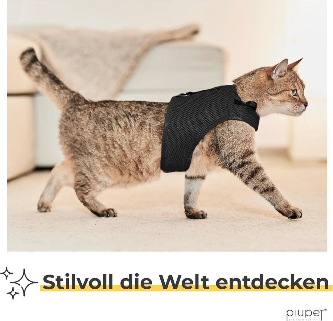PiuPet® Katzengeschirr (S) Mit 1,2m Leine | Ausbruchsicher | Geschirr für Katzen | Katzenleine | Sch