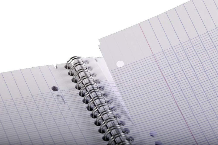 Clairefontaine 8251C - Packung mit 5 Collegeblöcken DIN A4+ mit Ringbuchlochung, 4-fach gelocht, 80