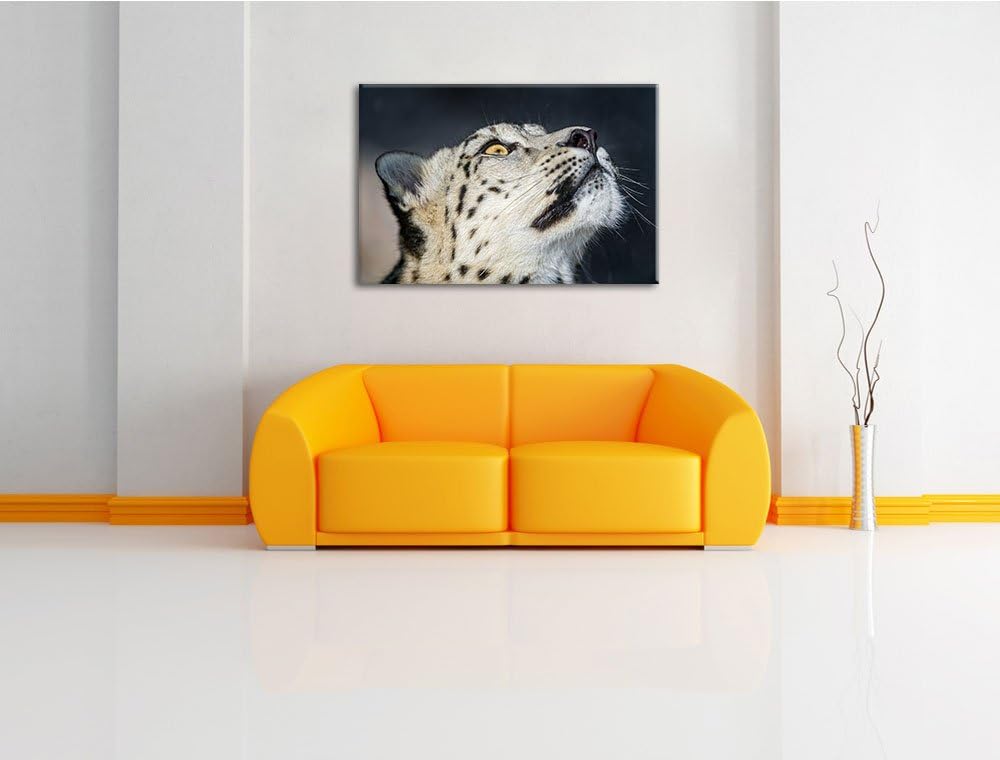 Pixxprint aufschauender Schneeleopard auf Leinwand, XXL riesige Bilder fertig gerahmt mit Keilrahmen