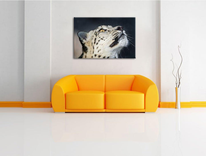 Pixxprint aufschauender Schneeleopard auf Leinwand, XXL riesige Bilder fertig gerahmt mit Keilrahmen