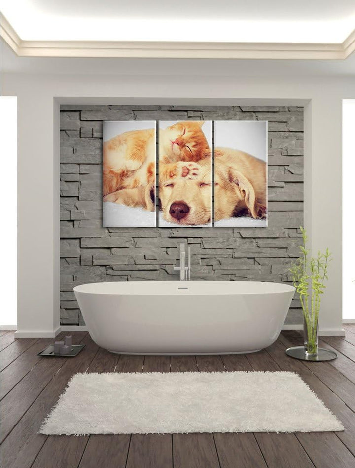 Pixxprint Kätzchen und Welpe schlafen B&W Detail 3-Teiler Leinwandbild 120x80 Bild auf Leinwand