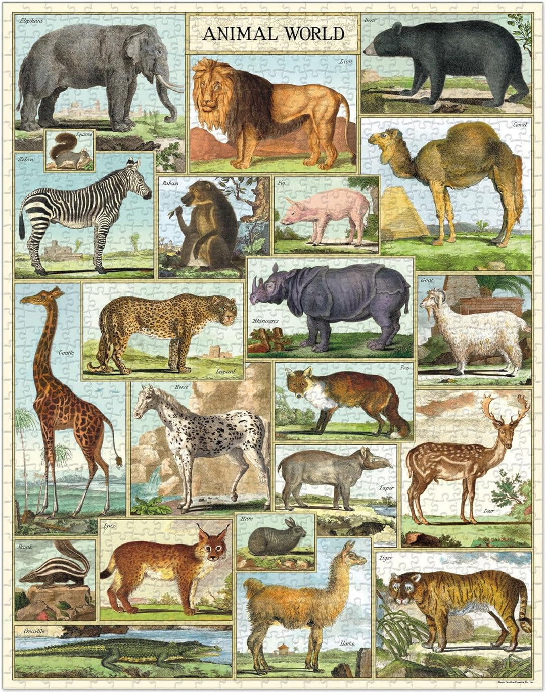 Cavallini, Tierwelt - Tiere Cavallini Vintage Puzzle, 1000 Teile