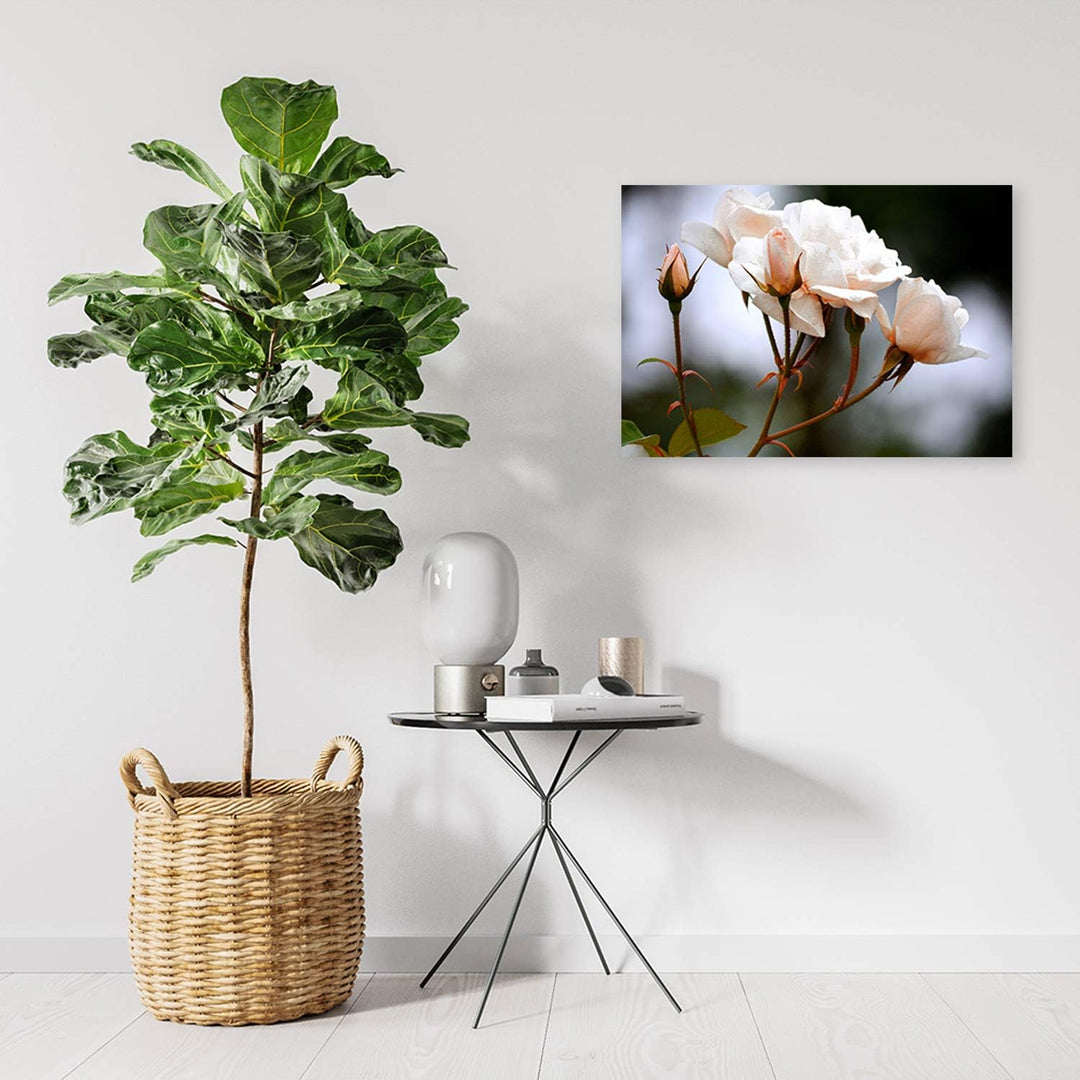 Wanddeko Blumen Kunst modern Bilder für Schlafzimmer Weiss 100x70 cm M14572 100x70 cm, M14572 100x70