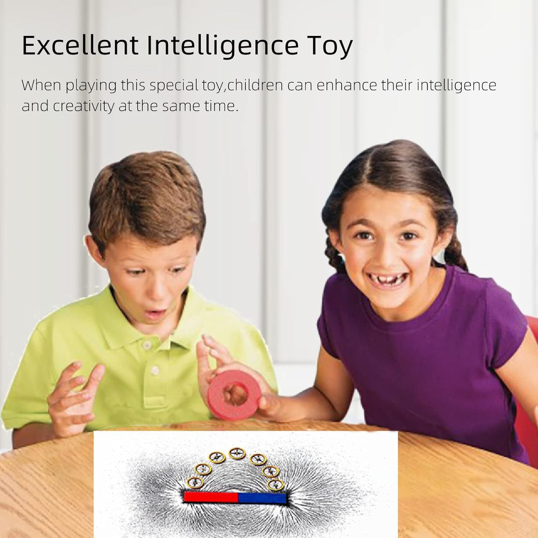 Magnetischer Sand Eisenfeilspäne Magnetkraft für Magnetunterricht und Schulprojekte, Aufbewahrung (1