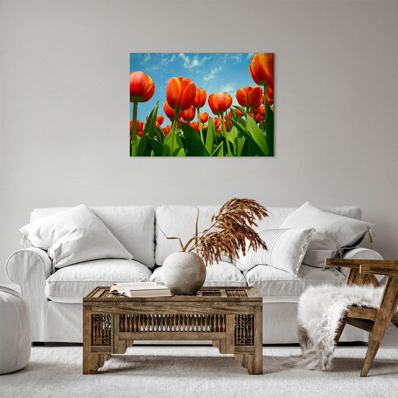 Bilder auf Leinwand Tulpe Blume blauer Himmel Leinwandbild 70x50cm Wandbilder Dekoration Wohnzimmer