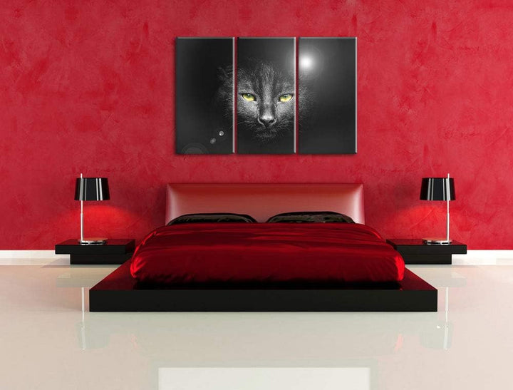 Katzenkopf mit düsterem Hintergrund schwarz/weiss 3-Teiler Leinwandbild 120x80 Bild auf Leinwand, XX