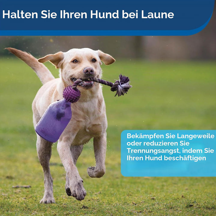 PetSafe Busy Buddy Tug-a-Jug Hundespielzeug, Snackspender mit Seil, Beschäftigung und Gewichtskontro
