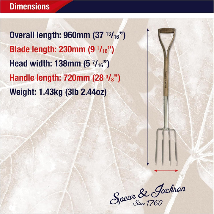 Spear & Jackson 4552BF Traditional Edelstahl-Damengabel Grenzgabelung, Grenzgabelung