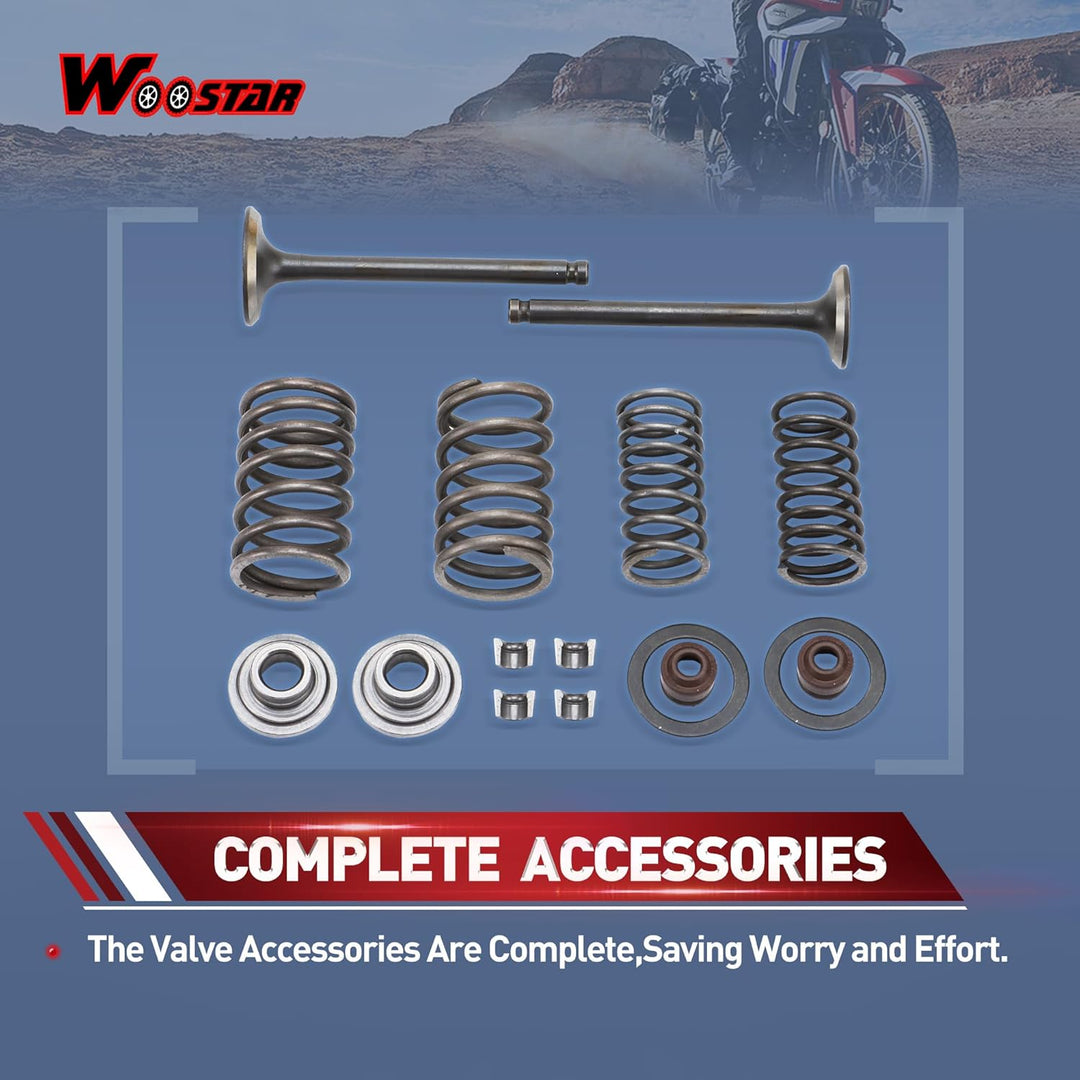 WOOSTAR Zylinderkopf 66mm Ventilbaugruppe Ersatz für 70ccm 90ccm 110ccm Taotao Roketa Sunl Chinesisc