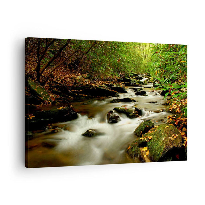 Bilder auf Leinwand Bäume Strom Felsen Leinwandbild mit Rahmen 70x50cm Wandbilder Dekoration Wohnzim