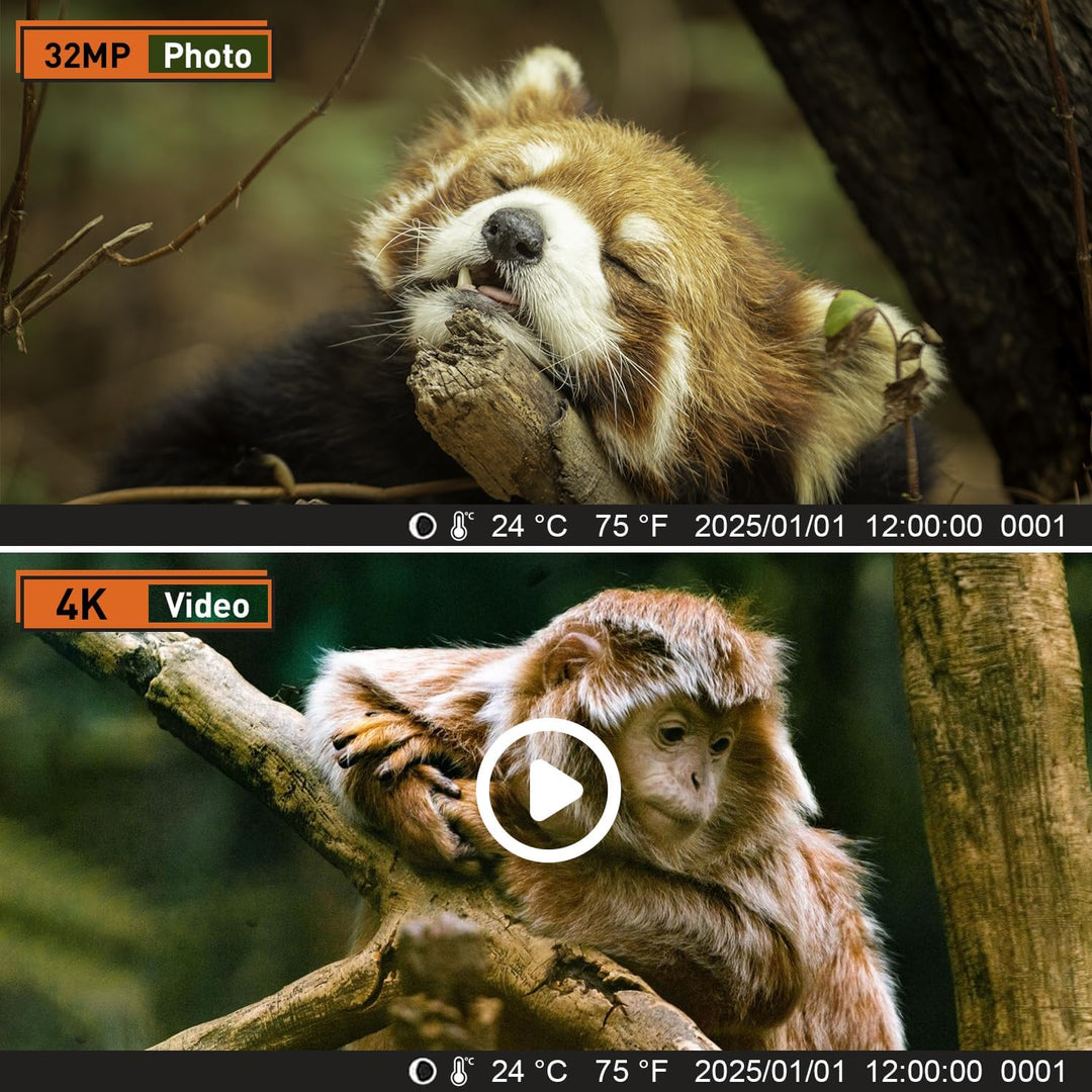 Wildkamera, 60MP 4K Video Wildtierkamera, 0,1 Sekunden ausgelöste IP66 wasserdichte Wildkamera mit N