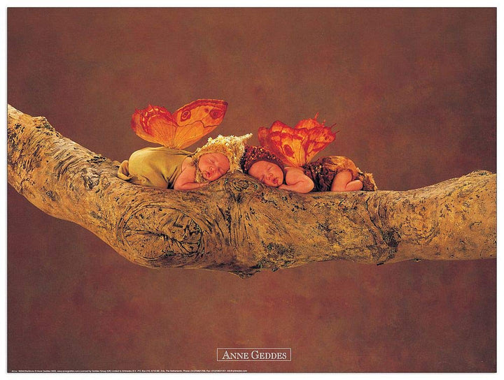 Artopweb TW18450 Geddes - Untitled Dekorative Paneele, Multifarbiert, 40x30 Cm