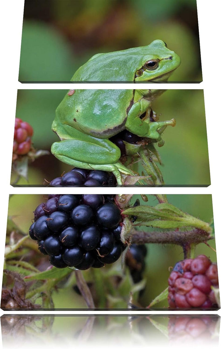 Pixxprint Kleiner Frosch auf Brombeerstrauch 3-Teiler Leinwandbild 120x80 Bild auf Leinwand