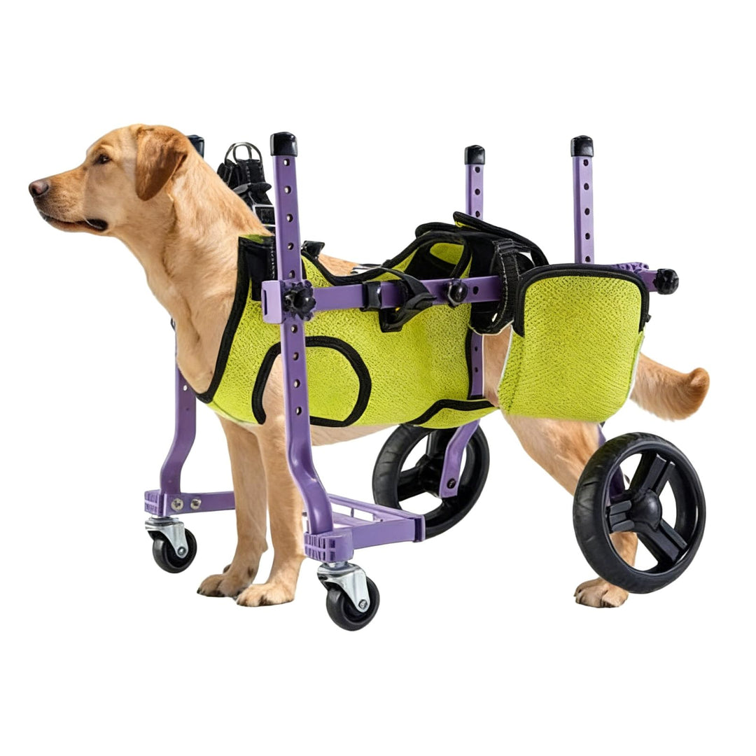 Hunderollstuhl für die Hinterbeine, Hunderollstuhlwagen, Dehnbarer Integrierter 4-Rad-Laufwagen für