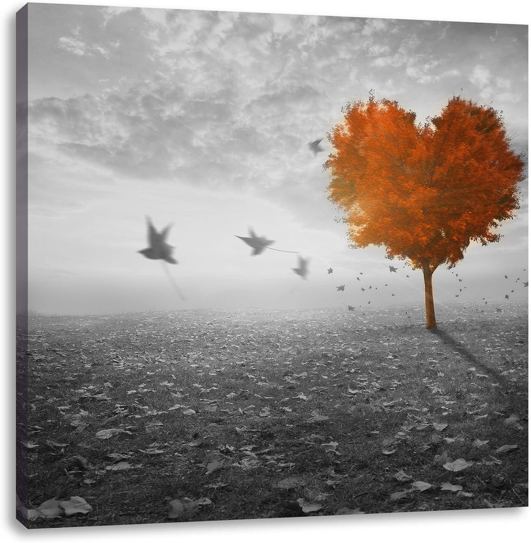 Pixxprint Roter Herzbaum im Herbst schwarz/weiss, Format: 70x70 auf Leinwand, 70x70