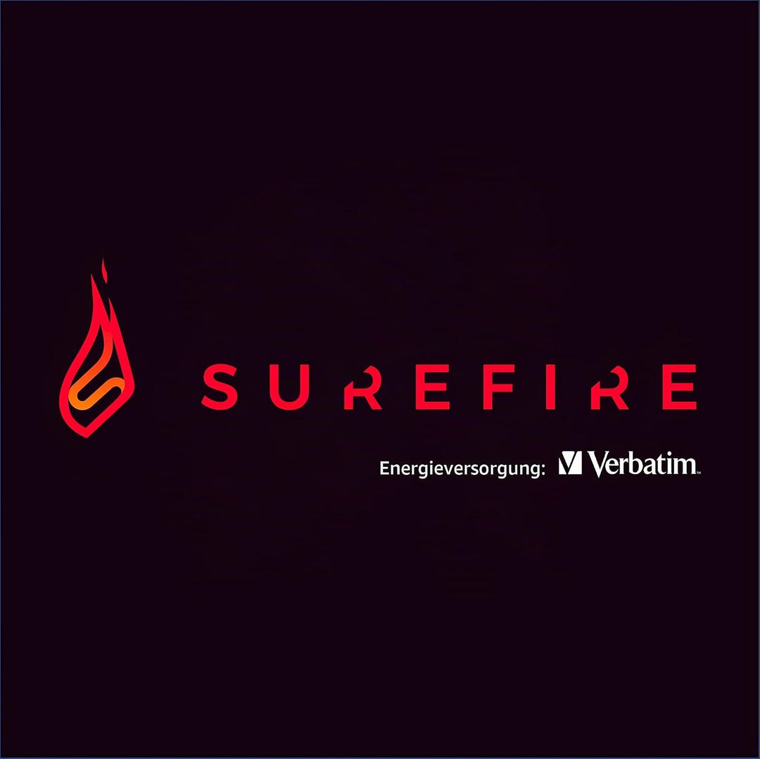 SureFire Gaming Hard Drive 2,5”, 1 TB, schwarz, Externe HDD Festplatte, USB-C Adapter, Windows &amp; Mac