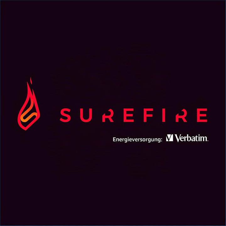 SureFire Gaming Hard Drive 2,5”, 1 TB, schwarz, Externe HDD Festplatte, USB-C Adapter, Windows &amp; Mac