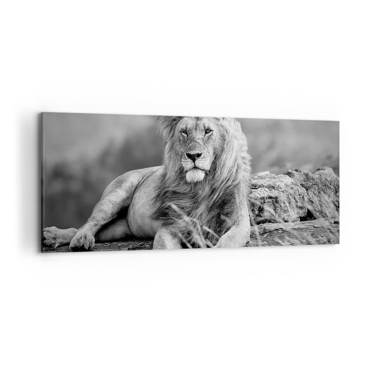 Wandbilder Dekoration Wohnzimmer Löwe Tier Natur Panorama Bilder auf Leinwand 120x50cm Leinwandbild