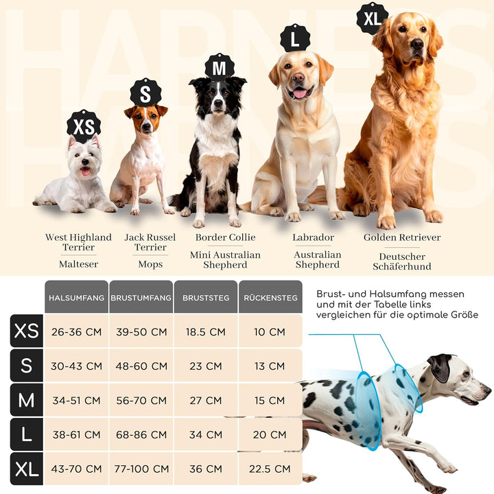 FREUDENTIER® Hundegeschirr mit atmungsaktiver Polsterung - Höchster Komfort & bombenfester Sitz - Mi