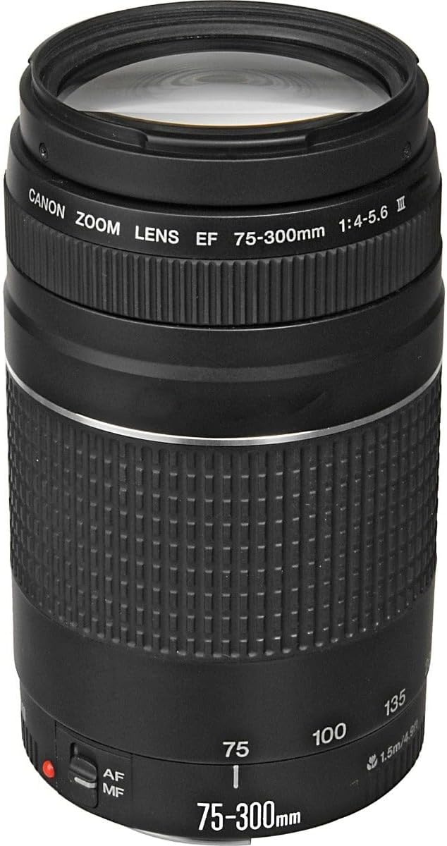 Canon Teleobjektiv EF 75-300mm f/4-5.6 III DC Europa 6473A015