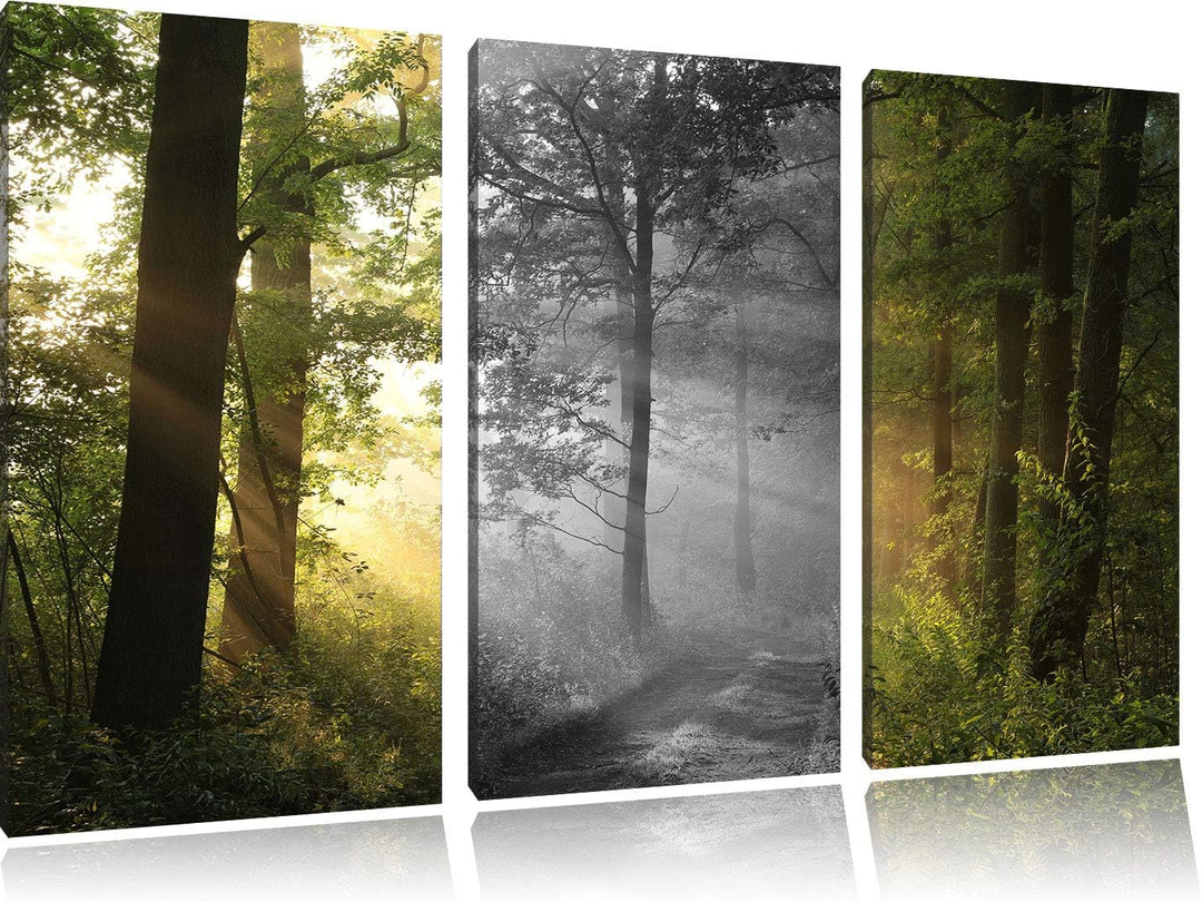 Ruhiger Waldweg im Grünen schwarz/weiss 3-Teiler Leinwandbild 120x80 Bild auf Leinwand, XXL riesige