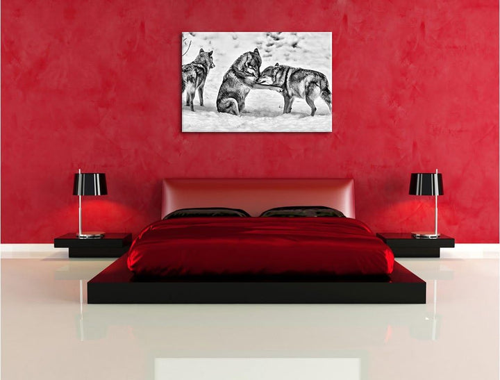 Pixxprint spielendes Wolfsrudel / 100x70cm Leinwandbild bespannt auf Holzrahmen/Wandbild Kunstdruck