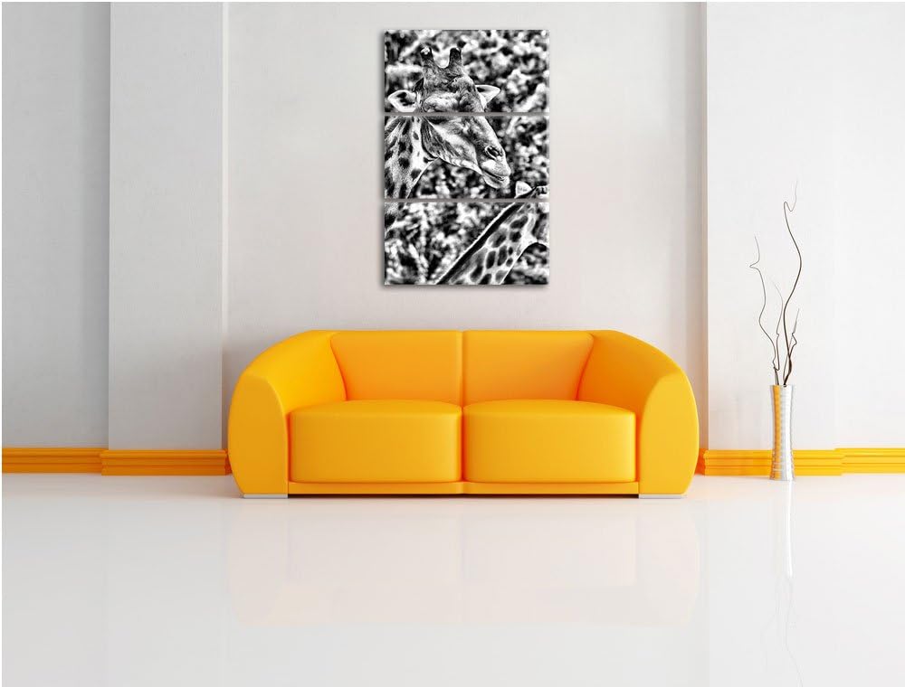 Pixxprint Monocrome, Giraffen 3-Teiler Leinwandbild 120x80 Bild auf Leinwand