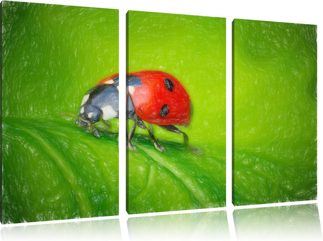 Pixxprint Marienkäfer auf Blatt / 3-Teilig/Gesamtmass 120cm Leinwandbild bespannt auf Holzrahmen/Wan