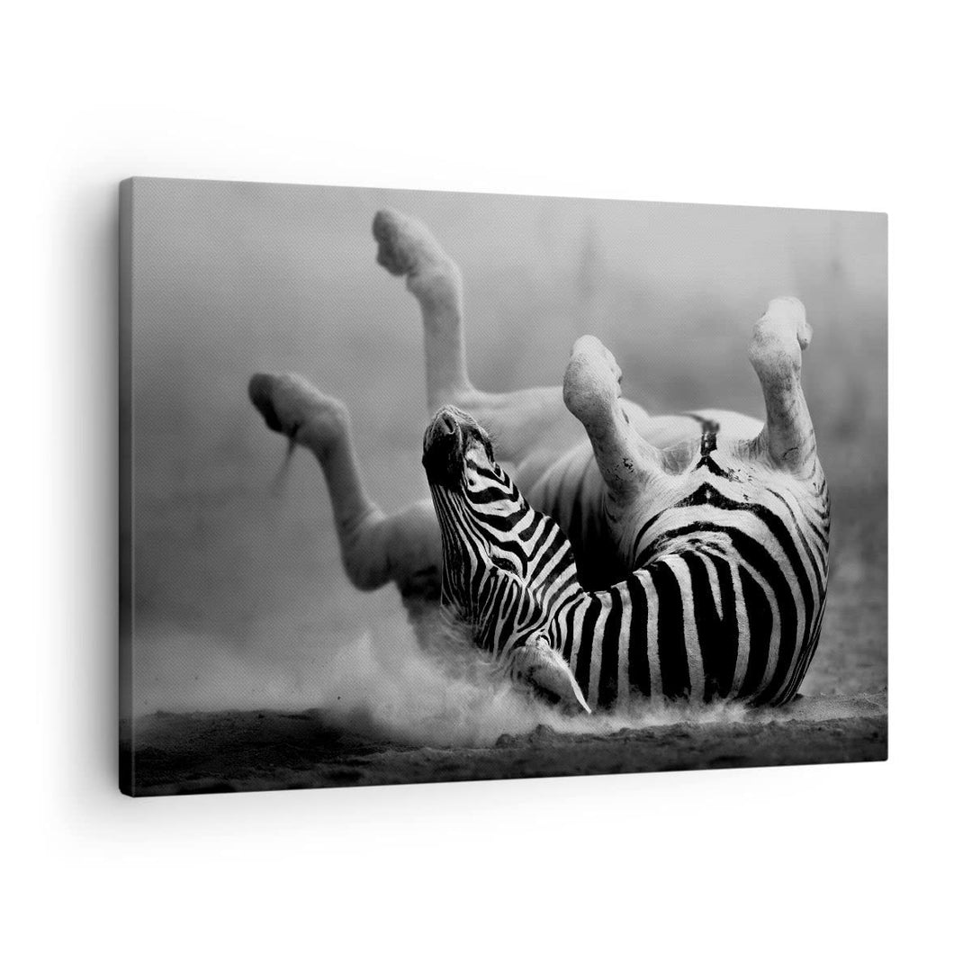 Bilder auf Leinwand Zebra Streifen Tier wild Leinwandbild 70x50cm Wandbilder Dekoration Wohnzimmer S