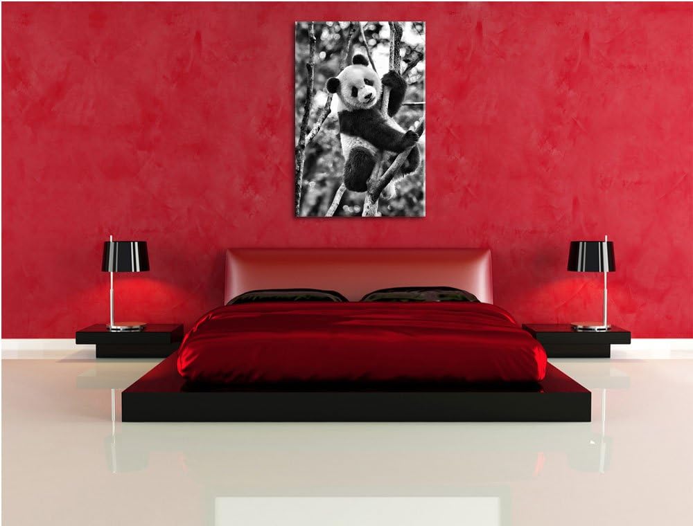 Pixxprint niedlicher Pandabär auf Baum als Leinwandbild/Grösse: 100x70 cm/Wandbild/Kunstdruck/fertig