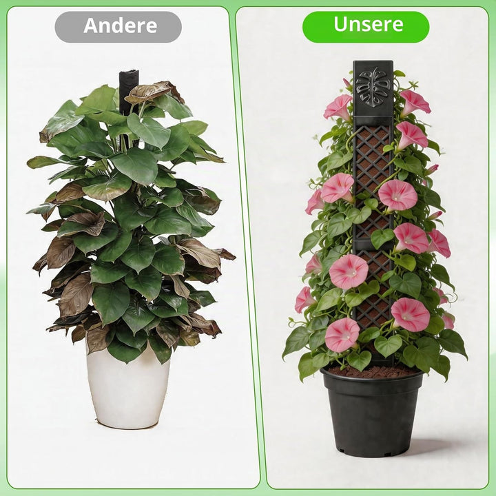 4 Pcs Moosstäbe für Monstera, Erweiterbare Pflanzenstütze, Moss Pole
