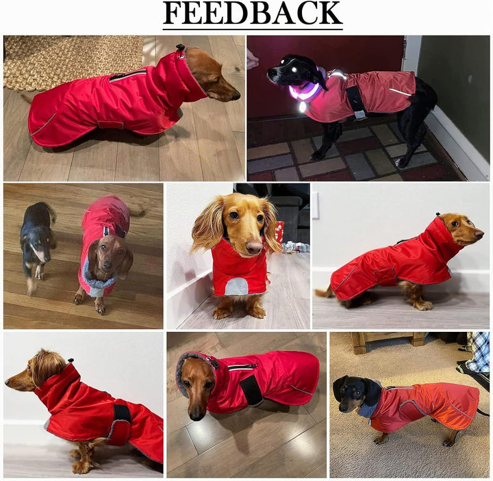 MOREZI Hundejacke ist eine wasserdichte, mit Fleece gefütterte Hundewinterjacke mit verstellbarem Gü