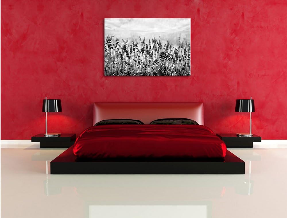 Pixxprint Schöner Lavendel im Regen als Leinwandbild/Grösse: 100x70 / Wandbild/Kunstdruck/fertig bes