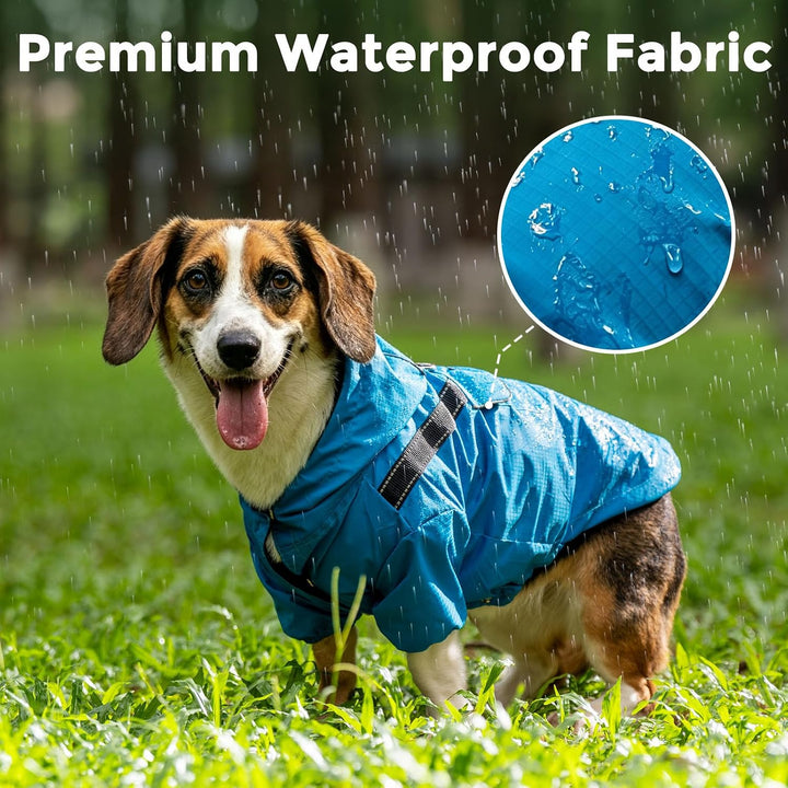 JoyDaog Regenmantel für kleine Hunde mit Kapuze, wasserdichte Outdoor-Regenjacke für Hunde, Welpen-R