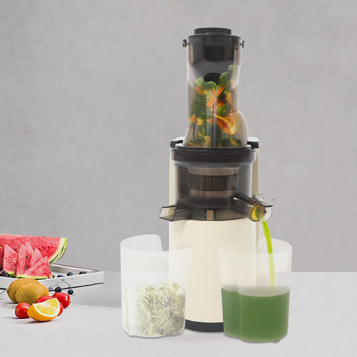 Standmixer Saftpresse für Obst Gemüse mit 48 Umin Schnecke