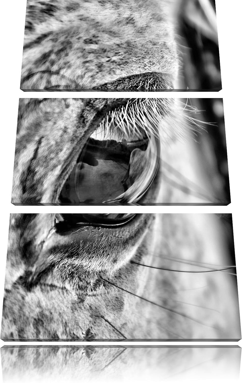 Pixxprint schöne grosse Pferdeaugen als Leinwandbild | Grösse: 3 Teilig (120x80) | Wandbild| Kunstdr