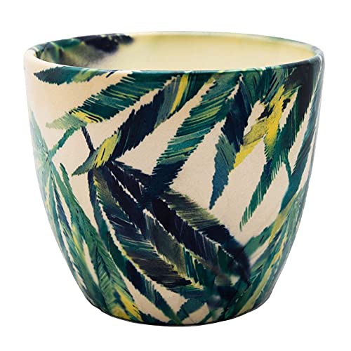 Ivyline Monza Pflanzgefäss für den Innenbereich, botanischer Farn, 13 cm Durchmesser, Creme/Grün