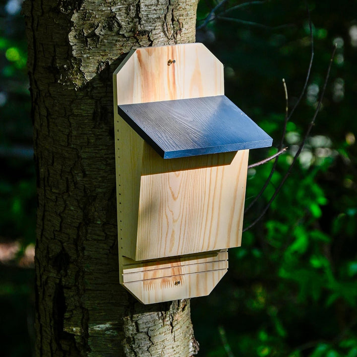 dobar® Green Label Fledermauskasten Microchioptera aus Holz, unbehandelt - Massive Nisthöhle für Fle