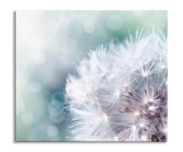 Zauberhafte Pusteblume Herdabdeckplatte & Spritzschutz aus Echtglas | Für Herd-Kochfelder | 60x52 cm