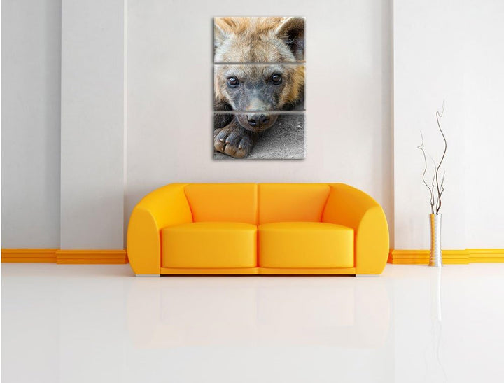 Pixxprint niedliche kleine Hyäne als Leinwandbild/Grösse: 3 Teilig (120x80) cm/Wandbild/Kunstdruck/f